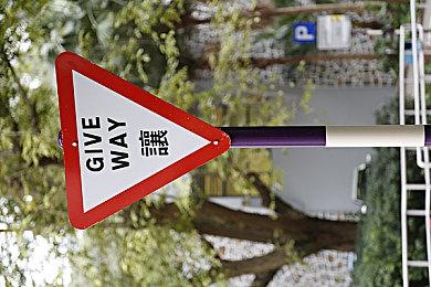 《Pokemon TV》应用程序现已正式登陆Switch